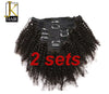 Natural Black Afro Kinky Curly Clip Hair --Whitney~